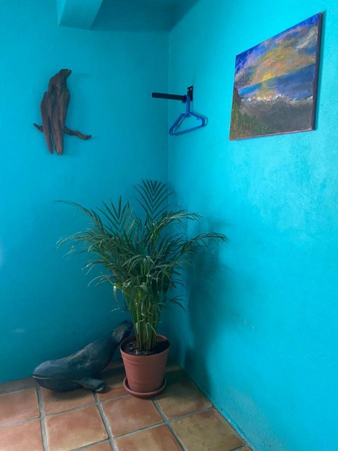 Bed and Breakfast Casa Xochitl à El Centenario Extérieur photo
